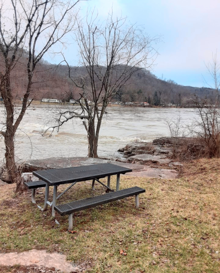 Picnic area at Brooks Falls. Photo by Rebecca Stalnaker